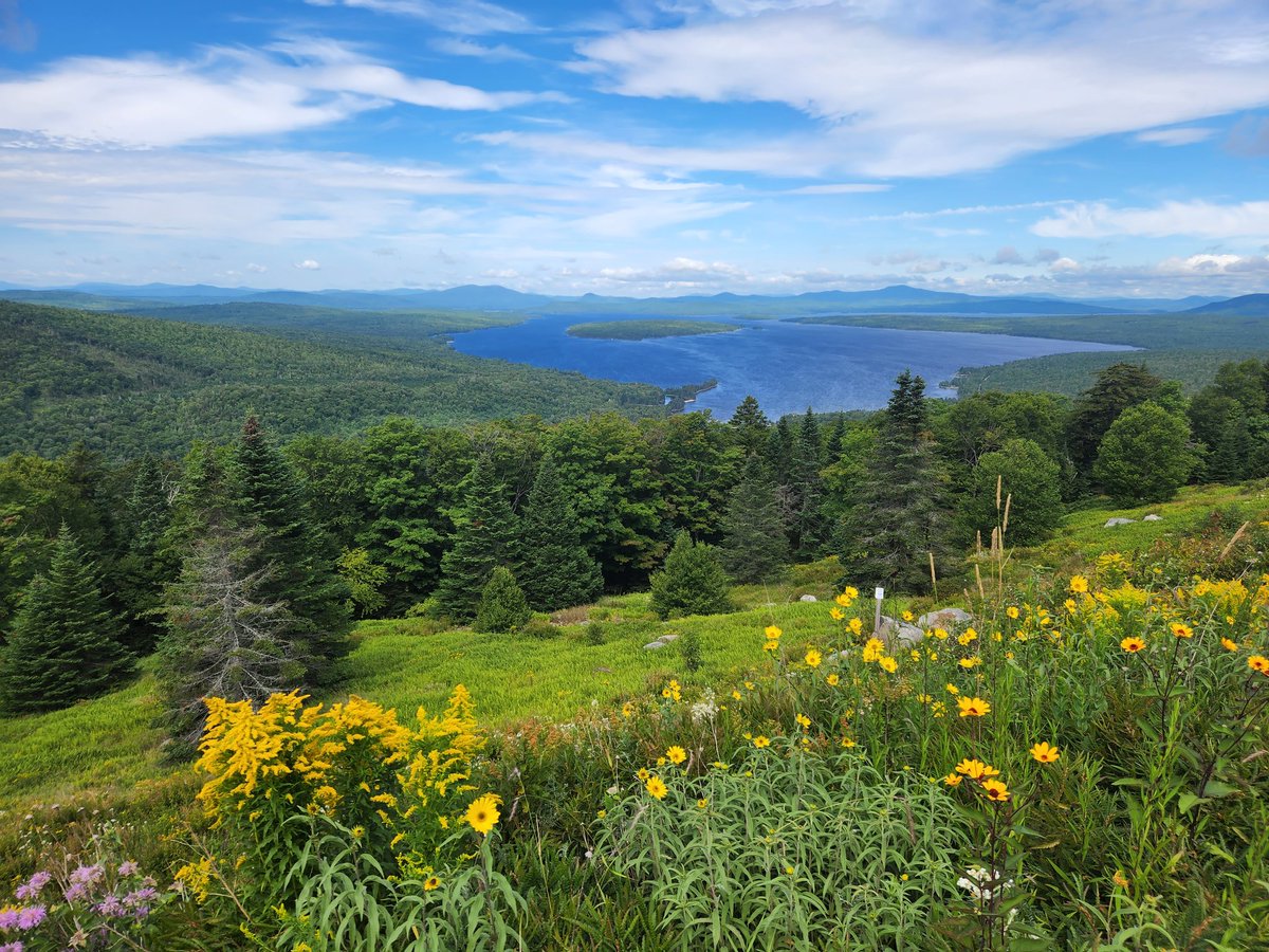 GabrielBosse1's tweet photo. It was a great week for my first addiction research conference at GRC and GRS #AddictionGRC. Perfect blend of great science, wonderfull people and insipring discussions. It was also exciting to be back in Maine! https://t.co/YpA2E7CsRh