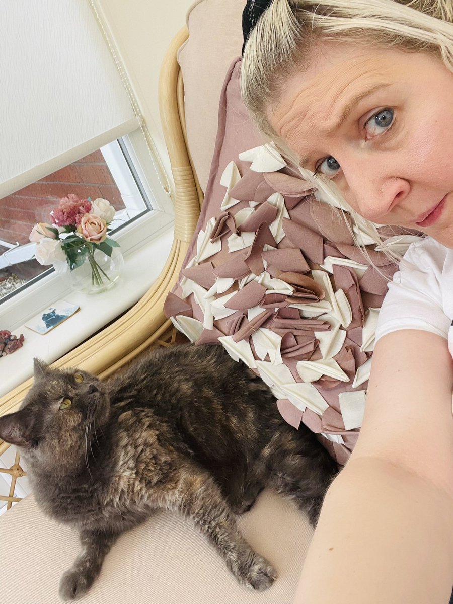 kershimi's tweet photo. I’m not lonely! I’m a cat mom! #happycaturday #RPDRCanada #CanadasDragRace #VivianVanderpuss https://t.co/kp3kXFXhkc