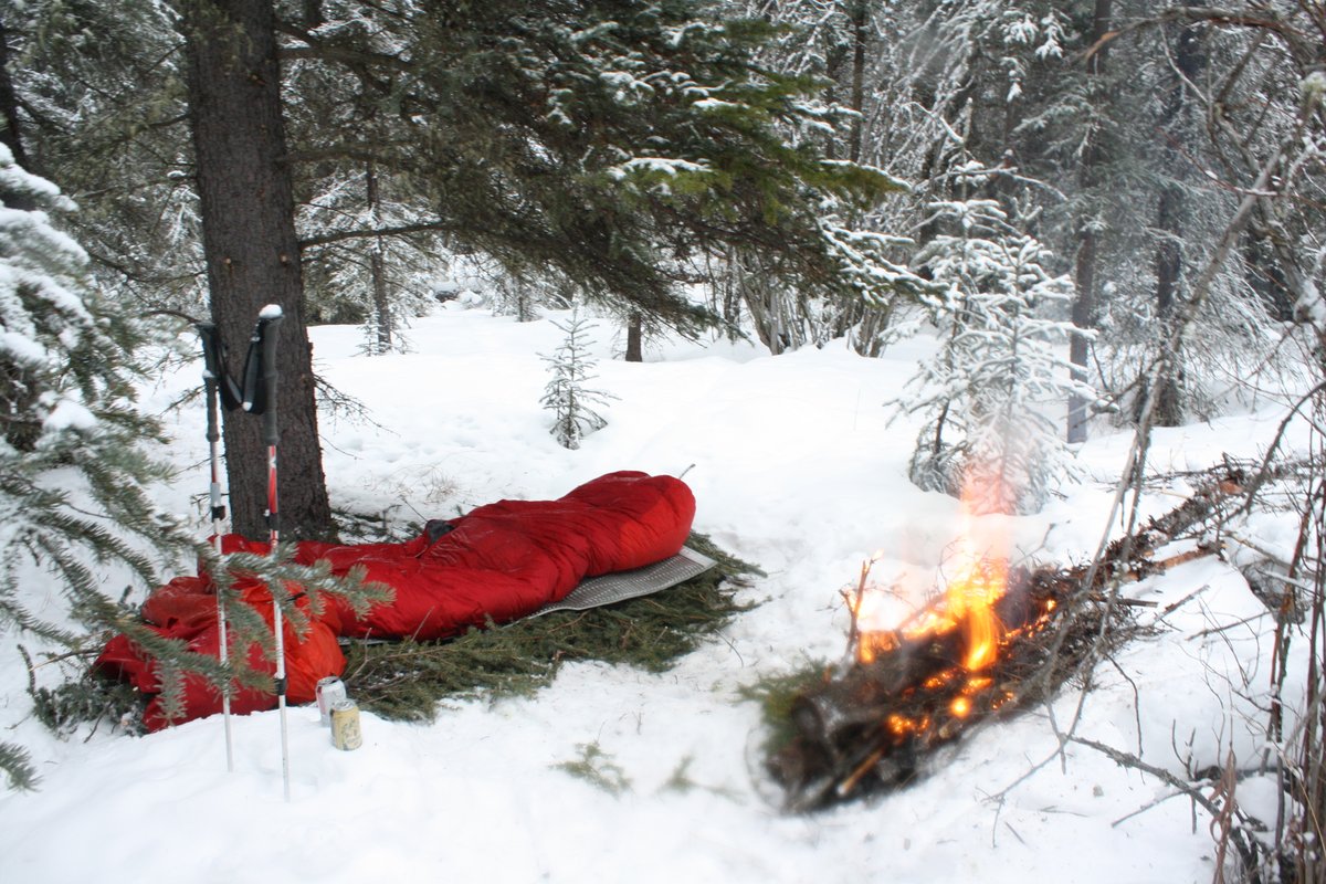 Dr Mark Hines tweet media