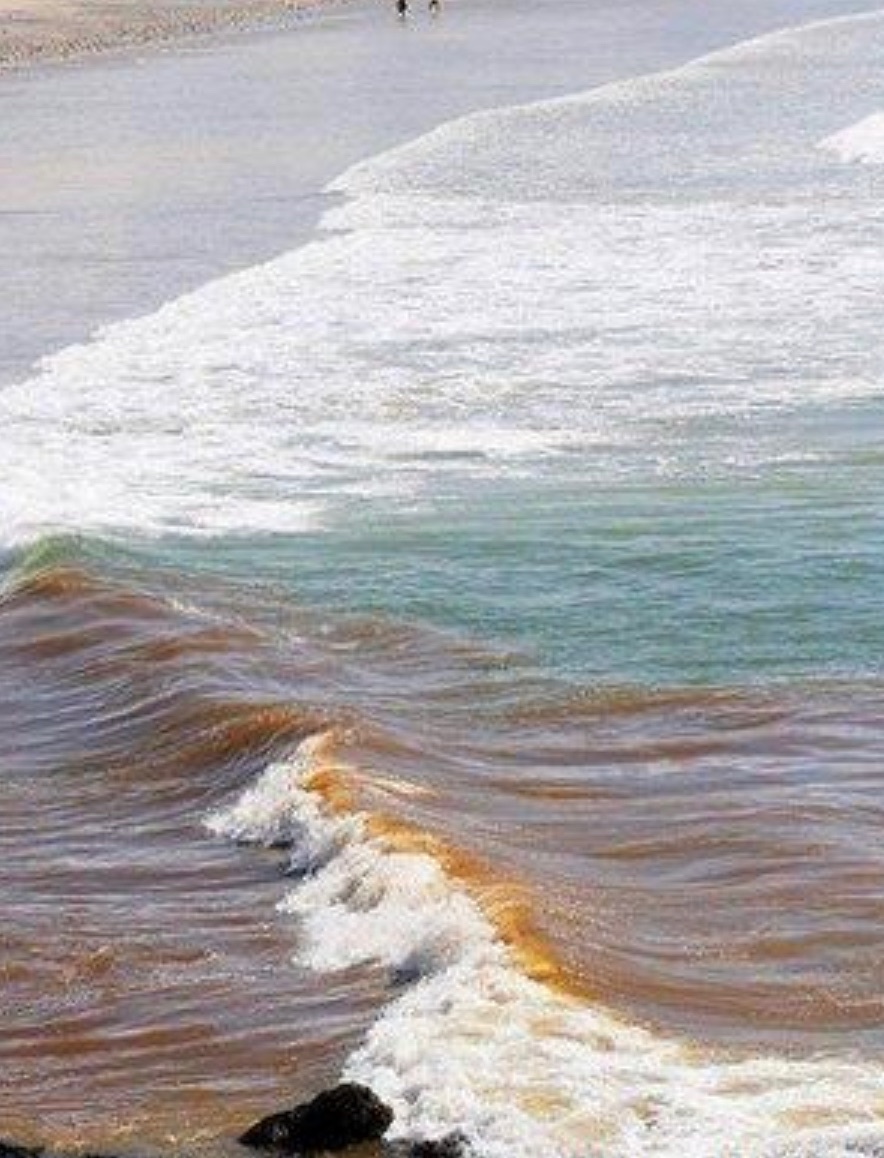 Dear <a href="/duncancbaker/">Duncan Baker</a> 

You are MP for North Norfolk and my home town of #Cromer I remember growing up and swimming in a sea that was at times awash with #rawsewage For so many years the water has been beautiful. Why in October did YOU vote to allow #watercompanies to do it again?