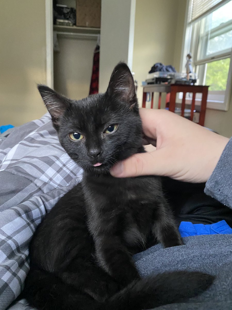 Ardeux's tweet photo. My beautiful lil lad https://t.co/hDmoAALilP