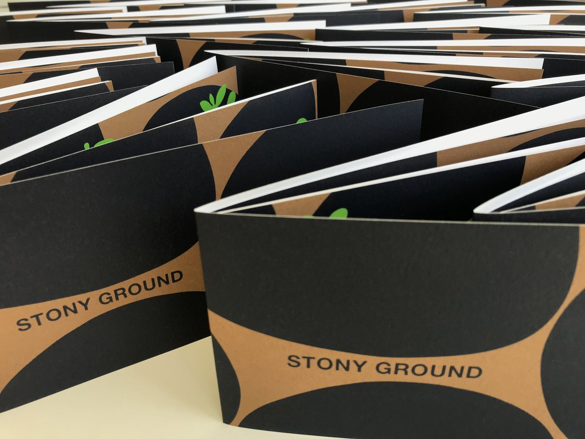 STONY GROUND 
new book
screen print 
edition of 50
£9 + postage 

and can be seen at <a href="/smallpublishers/">Small Publishers Fair</a> at the end of October.
 
#artistsbook #artistsbooks #artistsbookfair #screenprinting #screenprint #smallpublishersfair #smallpublishers #smallpublishersfair2022 #stonyground
