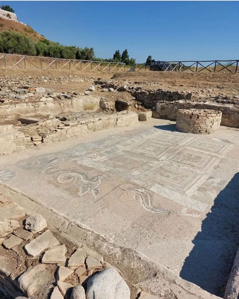 CalabriaTweet's tweet photo. Radici. Grazie a @_angelo.petrolo_ per questo scatto @kaulonia.museoparco nel Comune di Monasterace (RC).
#kaulon #anticakaulon #monasterace #reggiocalabria #calabriatweet #parcoarcheologico #archeologia #archeology #visit #visititaly #travel #viaggiare… https://t.co/lBCqVQtMyi https://t.co/8BpIfelZSn