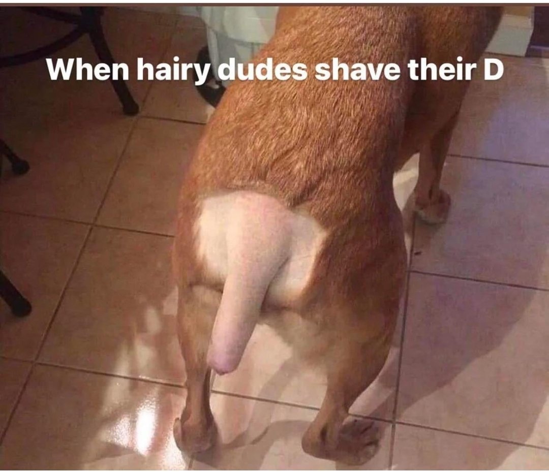 <a href="/men_only1/">Men's Only 🔞</a> Leave it or you'll end up looking like this