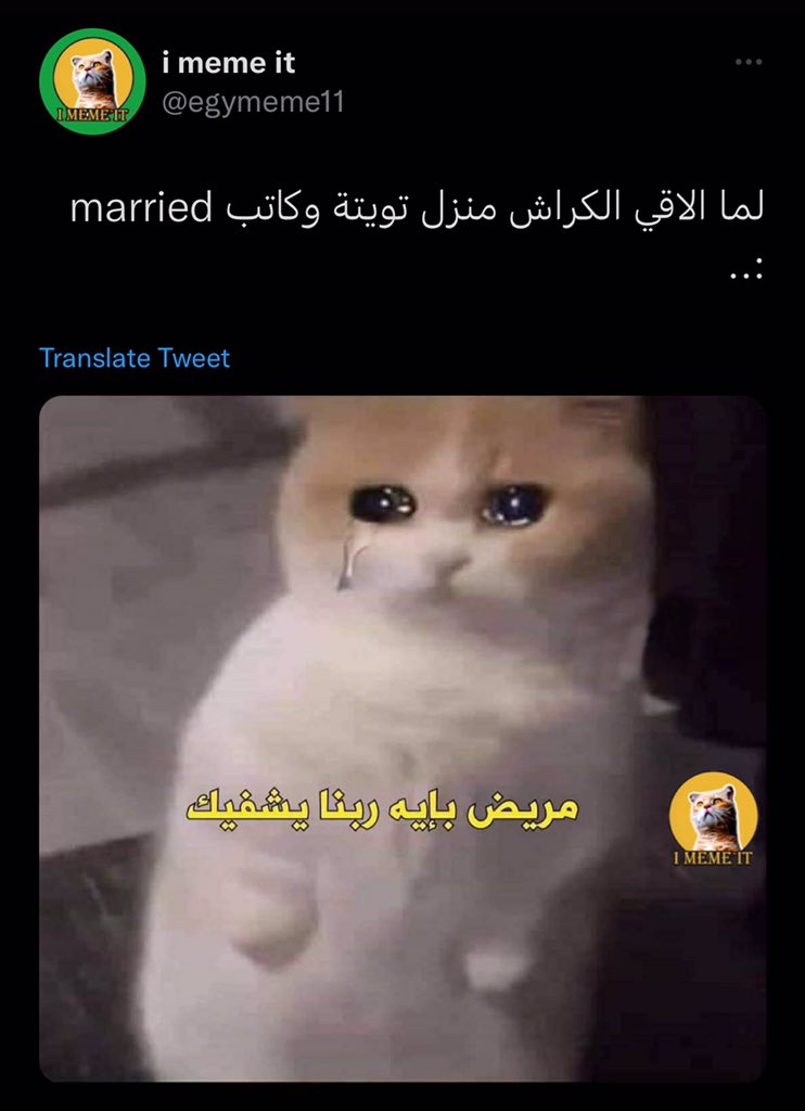 thismayadah's tweet photo. https://t.co/4nooUo4Bhe