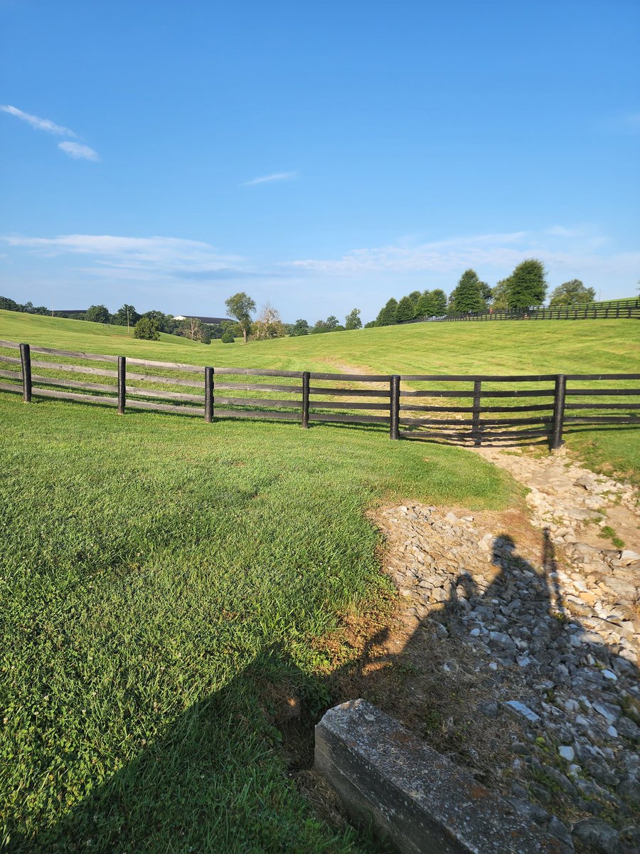 Gulches_'s tweet image. Gasoline be the fragrance 
Lawn sounds #modbap