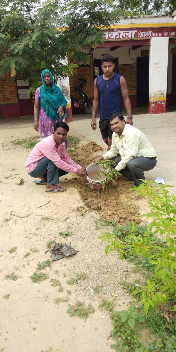 trManojBansal's tweet photo. #प्रकृति_मित्र #nature_friend
#missionshikshansanvad
Name- MANOJ KUMAR
Designation - IHT
Place - UPS KARAHARA, AKOLA, AGRA https://t.co/rCgiNxKsxm