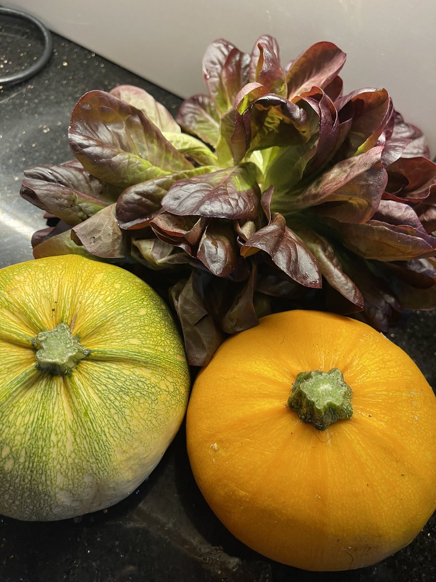 deliriumkrish's tweet photo. Thanks to @santosh_k2021 The pumpkins are all cooked without wasting even the skin. Pumpkin pulimandi chettinadu ( spicy gravy with tamarind) style and skin dhal chutney. https://t.co/KzEyaKnrmA