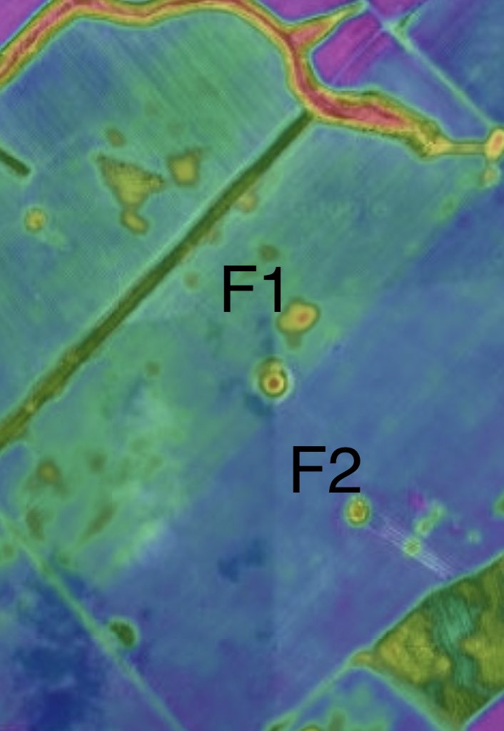 iMc Fels 📲🌾 tweet media