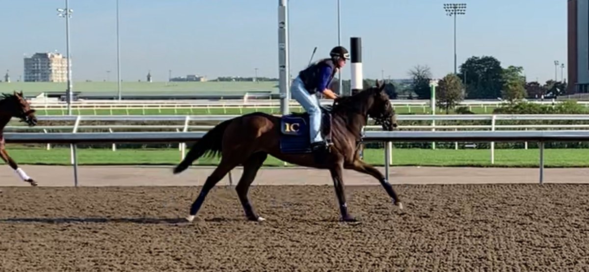 Ignacio Correas tweet media