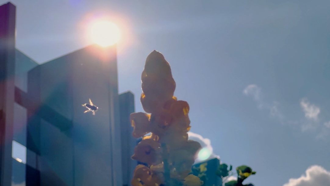 ksyyuan's tweet photo. Rooftop biophilic urban farm - CapitaSpring Sky Garden #architecture #shotoniphone https://t.co/jJgtzbLid8