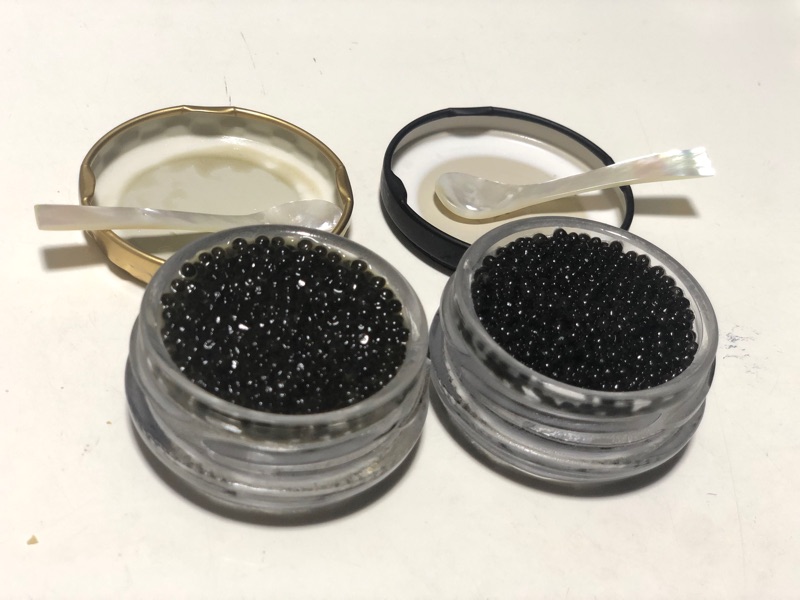 Anglers_survive's tweet photo. 友人に貰った本物の #キャビア 🫠
箱がイカつい

シロチョウザメ12ｇとシベリアチョウザメ12ｇで1.3万円😳

オンザホタテ＆クラッカーにクリームチーズとキャビア添えでハイソサエティな晩酌したのは昨日のお話。

今日は貰った #松坂牛 のすき焼きでお腹いっぱい

#宅飲み
#セレブ体験 https://t.co/4CqX5mWtUh