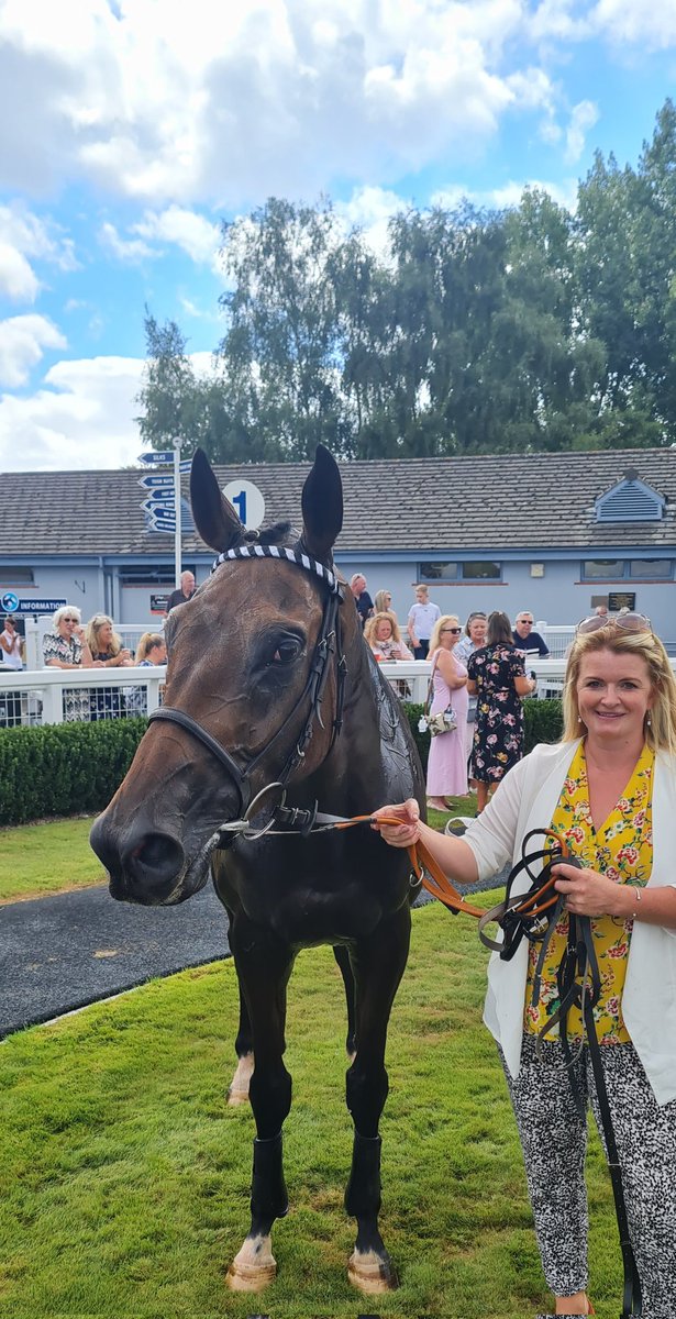 Another lovely run from Turpin Gold finishing 2nd @NewtonAbbotRace ridden by @Sean_Houlihan1