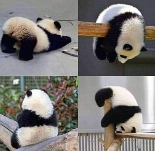 Cuando vas al gimnasio por primera vez y no sabes cómo usar las máquinas.