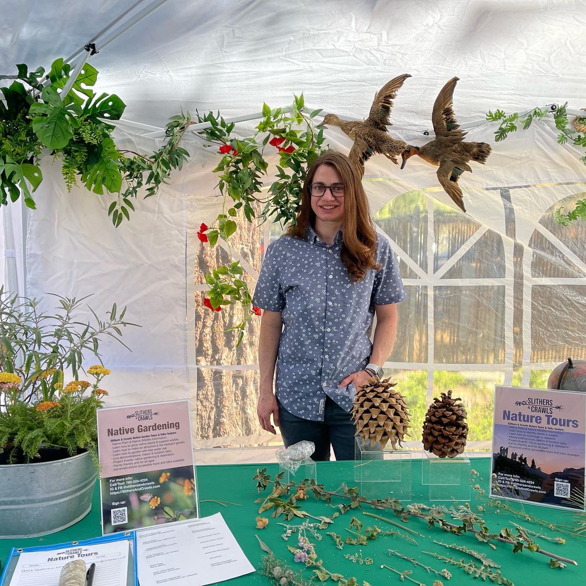 VoltaRae's tweet photo. See my native plant table with @SlithersAndCrawls at the Wrightwood Mountain Classic Car show today! Sign up for nature tours and garden events 

#Wrightwood #CAnativePlants #NativePlants #SlithersAndCrawls #NatureTours #NativeGarden https://t.co/FFcMW0avqd