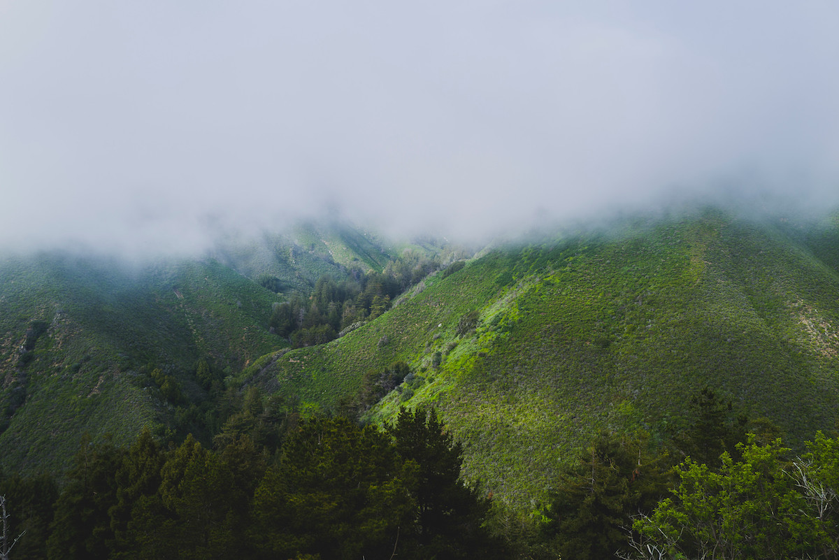 Big Sur Land Trust (@bigsurlandtrust) on Twitter photo “It was so peaceful and lovely to go and watch the fog cover the mountains. It is a lovely opportunity just to relax and be outside… Logging off." Wow! Didn't this 7th grade camper sum it up perfectly?
#FindYourWonder #CampersCorner #YouthCamp #OutdoorPrograms #BigSurLandTrust “It was so peaceful and lovely to go and watch the fog cover the mountains. It is a lovely opportunity just to relax and be outside… Logging off." Wow! Didn't this 7th grade camper sum it up perfectly?
#FindYourWonder #CampersCorner #YouthCamp #OutdoorPrograms #BigSurLandTrust