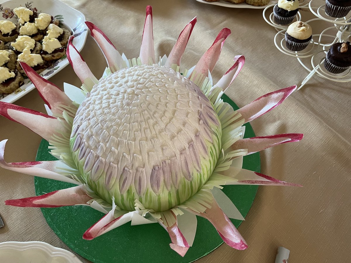 DrNicolaBrink's tweet photo. Beautiful cake for my mother’s birthday party. South African protea. Thank you Bake with Luce! You are so talented. https://t.co/8cAMVaxx1p