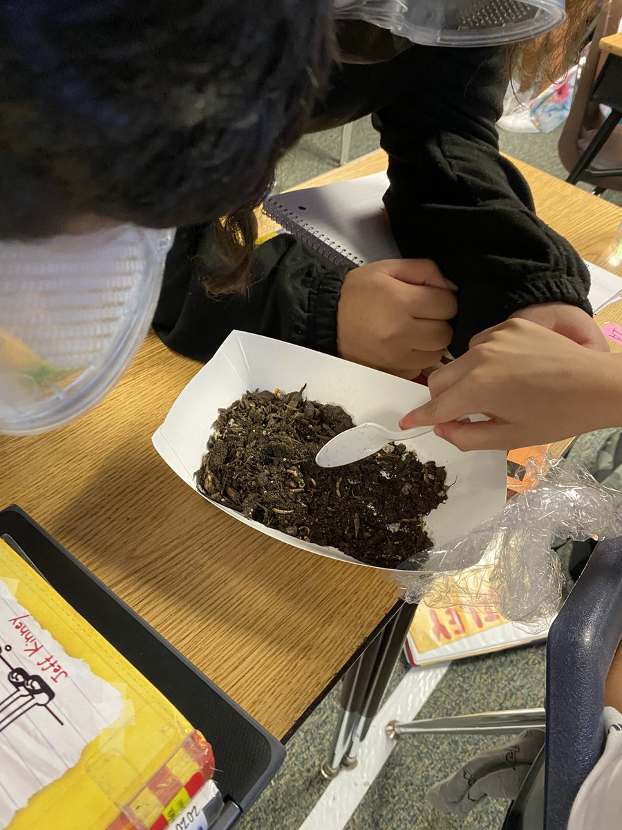 getsmartwithMrG's tweet photo. Our Bob Cats begin to generate questions like scientist through their observations of living organisms. They also take ownership of their observations through drawings in their science notebook. @Ethridge_Bobcat @AVIDGISD @gisdnews @GISD4EBs #STEM #thegisdeffect #bethelight https://t.co/VbiPKvQ2JV