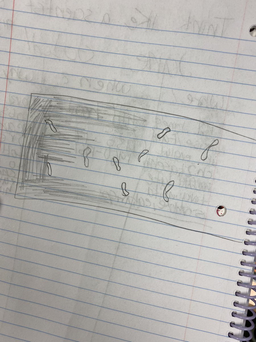 getsmartwithMrG's tweet photo. Our Bob Cats begin to generate questions like scientist through their observations of living organisms. They also take ownership of their observations through drawings in their science notebook. @Ethridge_Bobcat @AVIDGISD @gisdnews @GISD4EBs #STEM #thegisdeffect #bethelight https://t.co/VbiPKvQ2JV