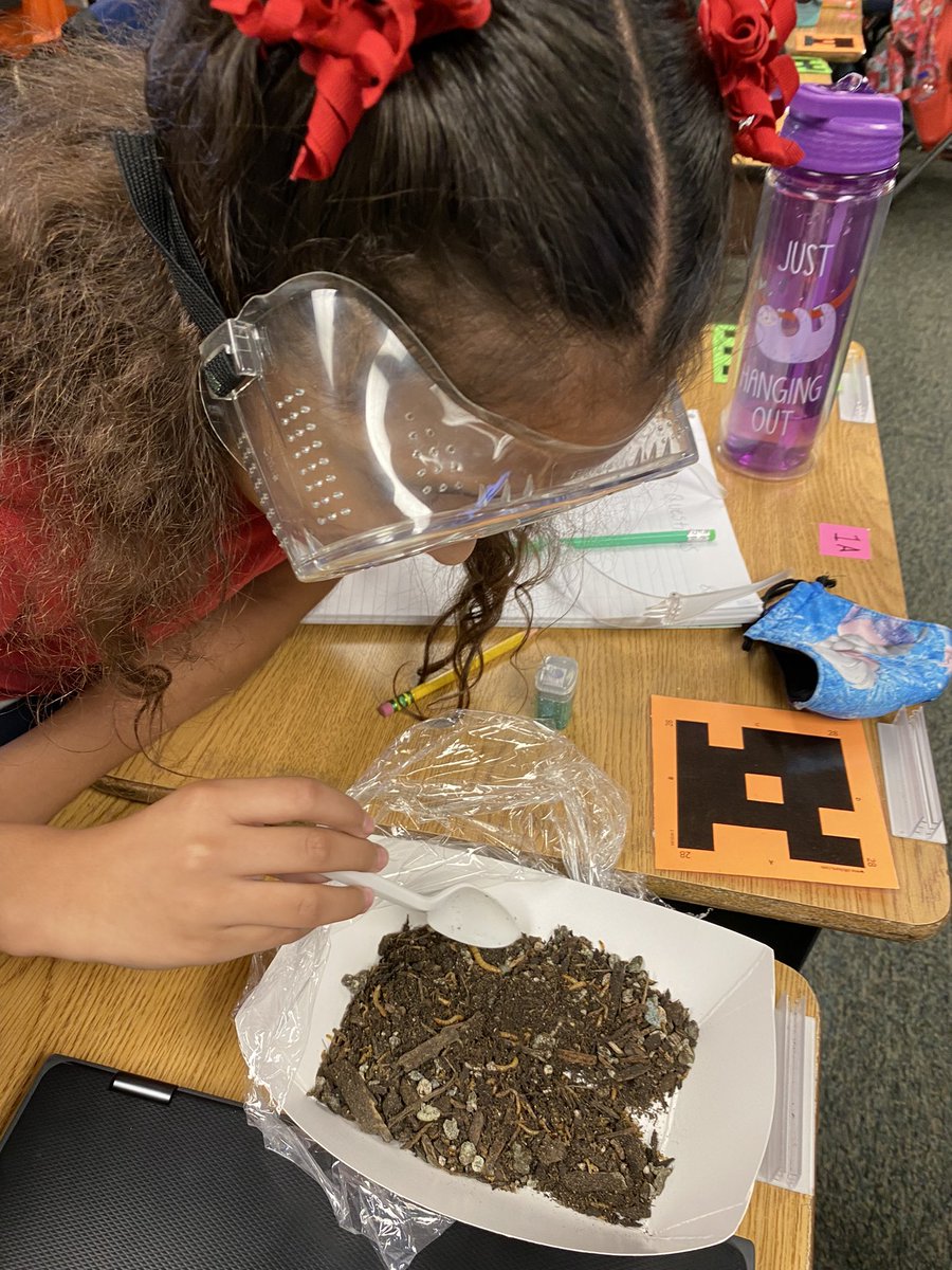 getsmartwithMrG's tweet photo. Our Bob Cats begin to generate questions like scientist through their observations of living organisms. They also take ownership of their observations through drawings in their science notebook. @Ethridge_Bobcat @AVIDGISD @gisdnews @GISD4EBs #STEM #thegisdeffect #bethelight https://t.co/VbiPKvQ2JV
