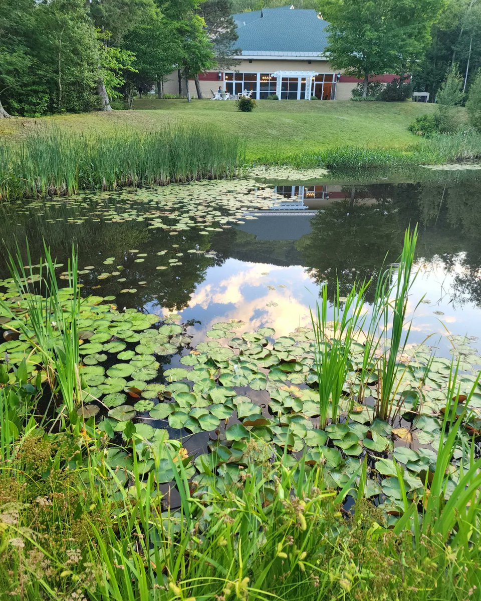 MehdiFarokhnia's tweet photo. Who else is missing this place and the science today?! 😭😇 #AddictionGRC https://t.co/EOAUpjWXIo