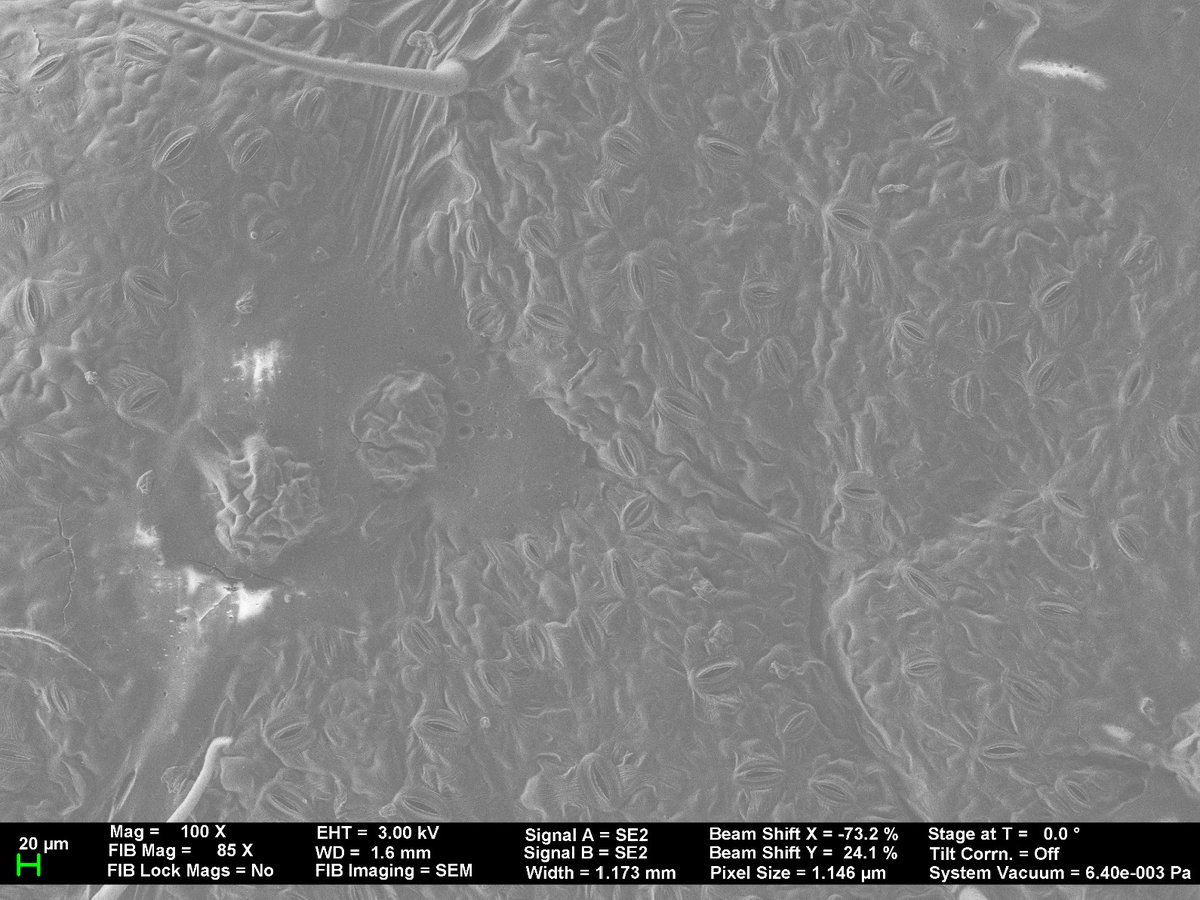 Wason Lab tweet media