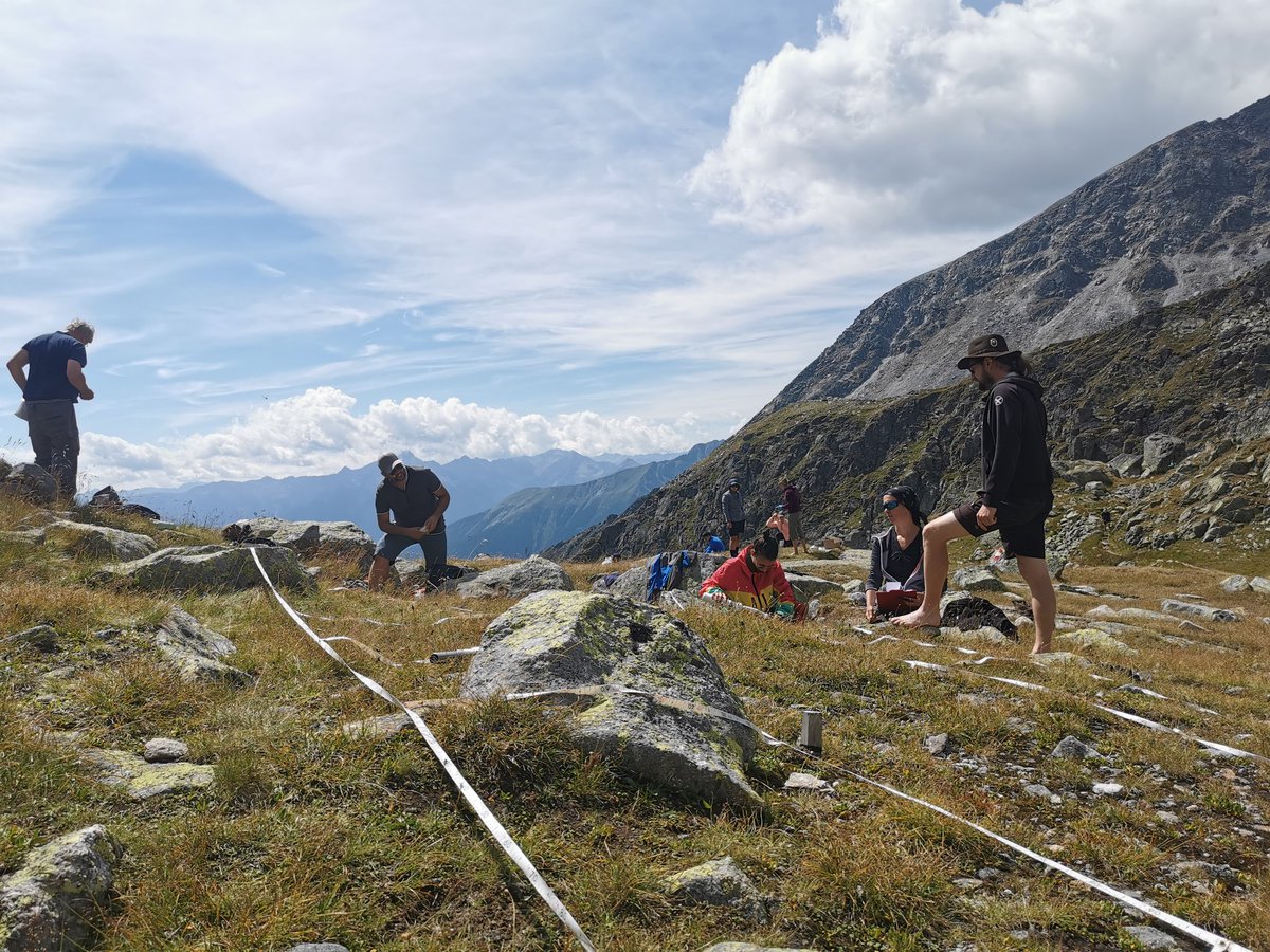 Sampling alpine soil microbial communities for long term monitoring of environmental change in the Alps #Alps #NPHoheTauern #snowbeds #environmentalchange #soilmicrobiology #longtermmonitoring @julesibk
 @m_steinwandter @unigraz
