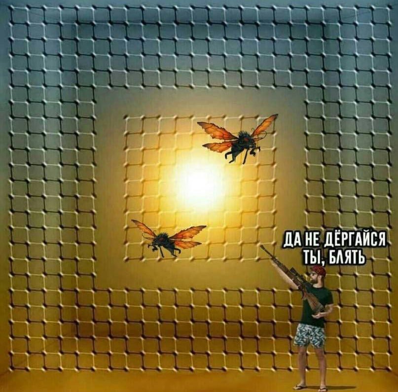 RussianMemesLtd's tweet photo. just stand fucking still https://t.co/AIklFr7c1p