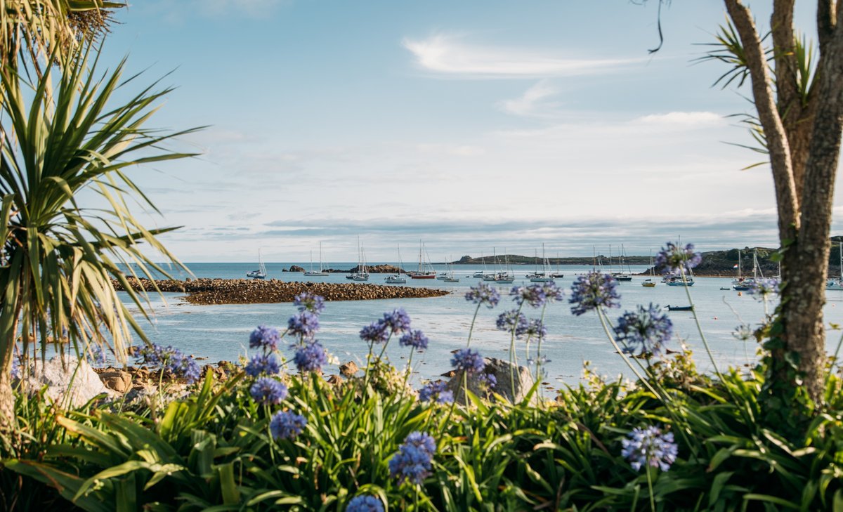 Isles of Scilly Travel tweet media