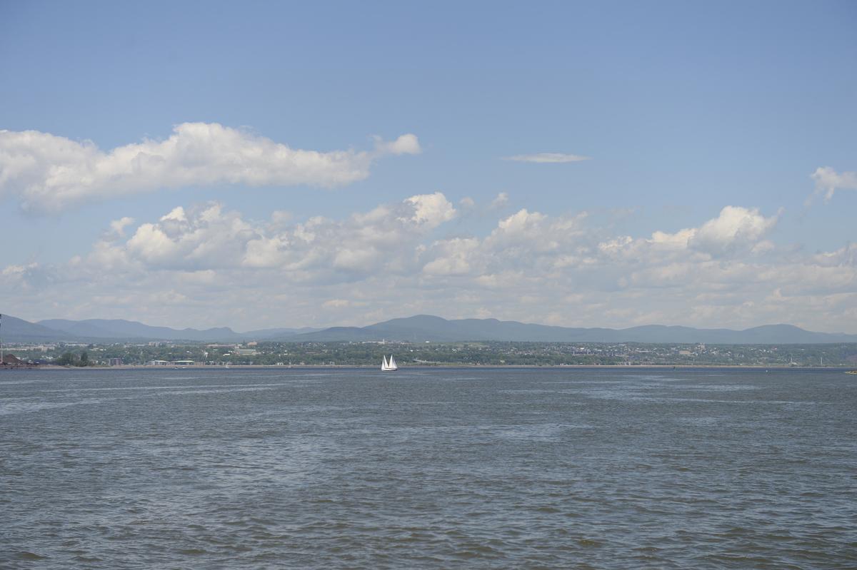 Des contaminants préoccupants dans le Saint-Laurent lesoleil.com/actualite/envi…