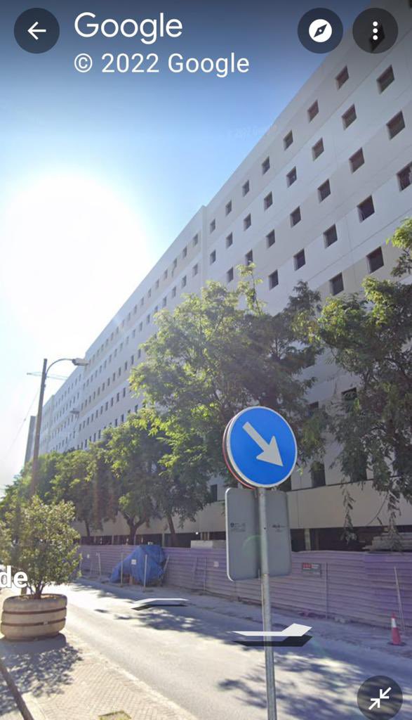 jiacosta's tweet photo. Mucho #FicusSanJacinto en #sevilla pero poco se habla de la tala de descomunal de la arboleda de ramón Carande por la residencia de #grupomoraval #ayuntamientodesevillaarboricida #ayuntamientodesevilla #juntadeandalucia @Ayto_Sevilla https://t.co/fInSsu2e24