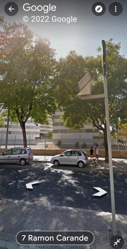 jiacosta's tweet photo. Mucho #FicusSanJacinto en #sevilla pero poco se habla de la tala de descomunal de la arboleda de ramón Carande por la residencia de #grupomoraval #ayuntamientodesevillaarboricida #ayuntamientodesevilla #juntadeandalucia @Ayto_Sevilla https://t.co/fInSsu2e24