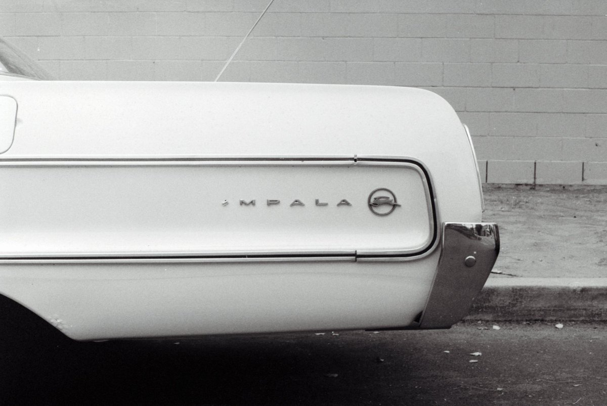 stevesnotlost's tweet photo. Impala. https://t.co/kEfLctiumi