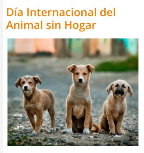 FAC (@faccuba) on Twitter photo 