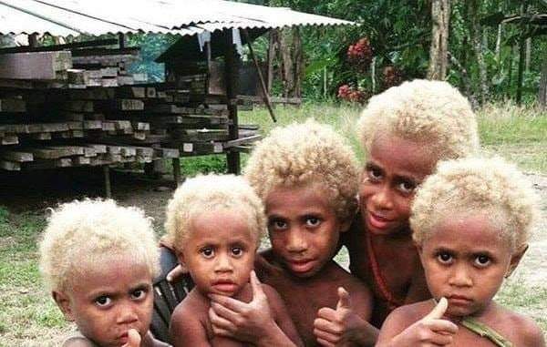 SavageMaveriick's tweet photo. Melanesian people: The world's only natural black blondes 🥂 https://t.co/Vwh0ZQaBVh