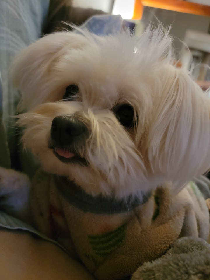 Hi. I'm Coby, and I don't have enough teeffs to keep my tongue in check.