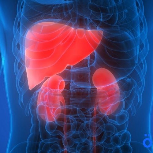 mutabarie1's tweet photo. #صورة_ملف_شخصي_جديدة https://t.co/9DDDPvAa8t