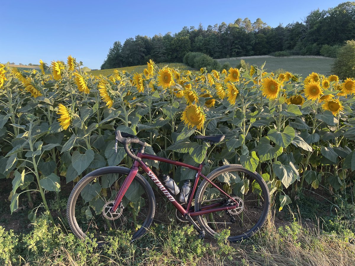90 km  #Lemerlerberg #gravelbike #specialized #nieuwehobby
