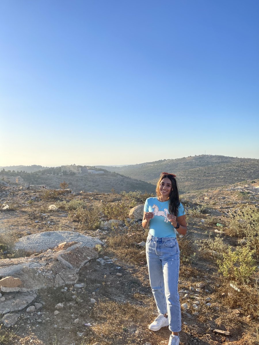 Flat Mustang tweet media