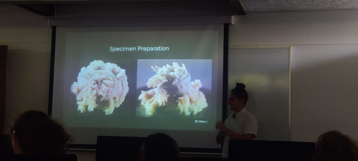 Isabel Pen (@pen_emone) on Twitter photo Five weeks has never flown by so fast 😭 I’m so grateful I was able to have this amazing experience and meet so many people who have changed the way I think. I hope I see you all again very soon ♥️ #BITI <a href="/MarineBiol_FHL/">Friday Harbor Labs</a> Five weeks has never flown by so fast 😭 I’m so grateful I was able to have this amazing experience and meet so many people who have changed the way I think. I hope I see you all again very soon ♥️ #BITI <a href="/MarineBiol_FHL/">Friday Harbor Labs</a>