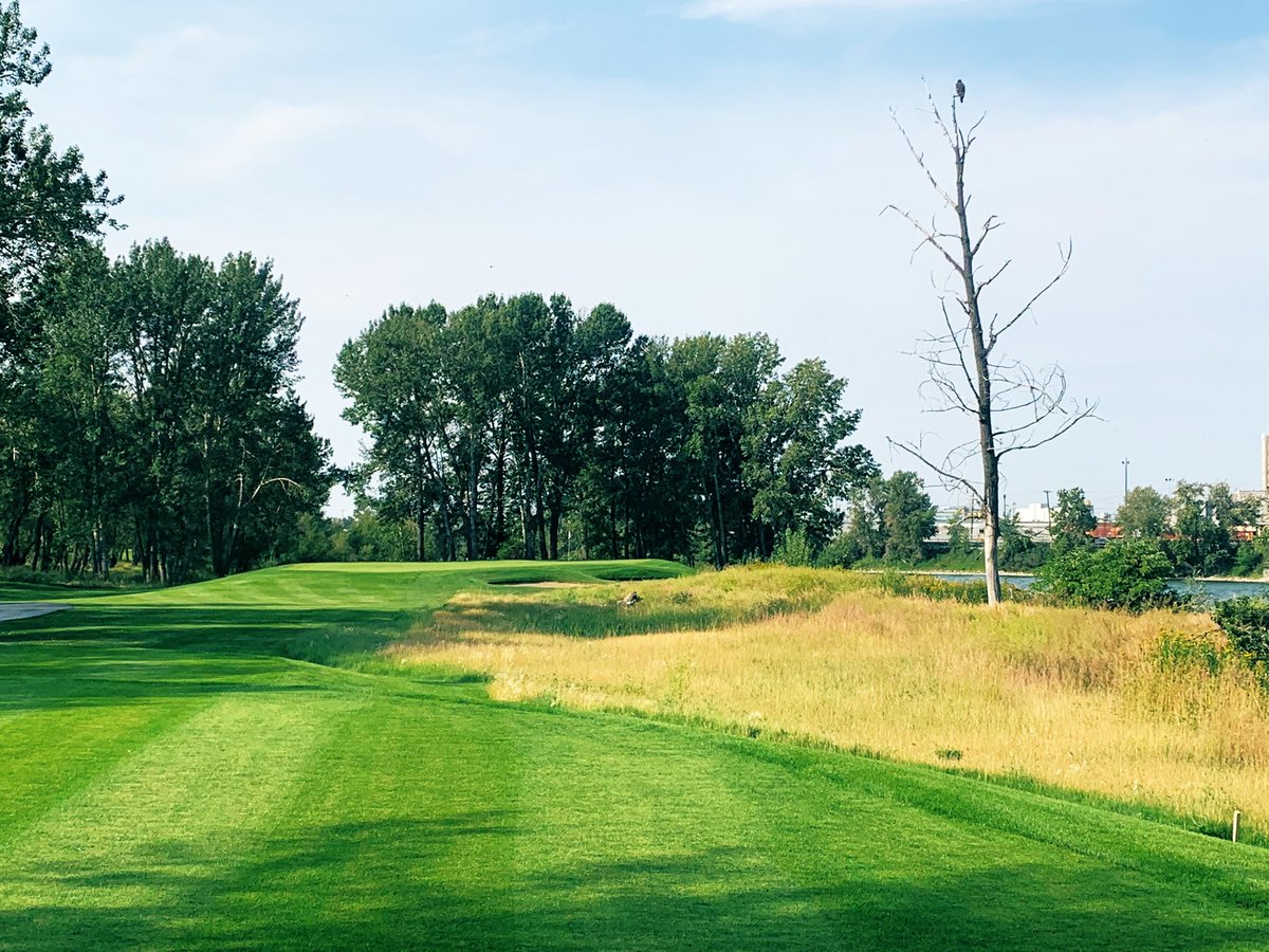 Paul Crough tweet media