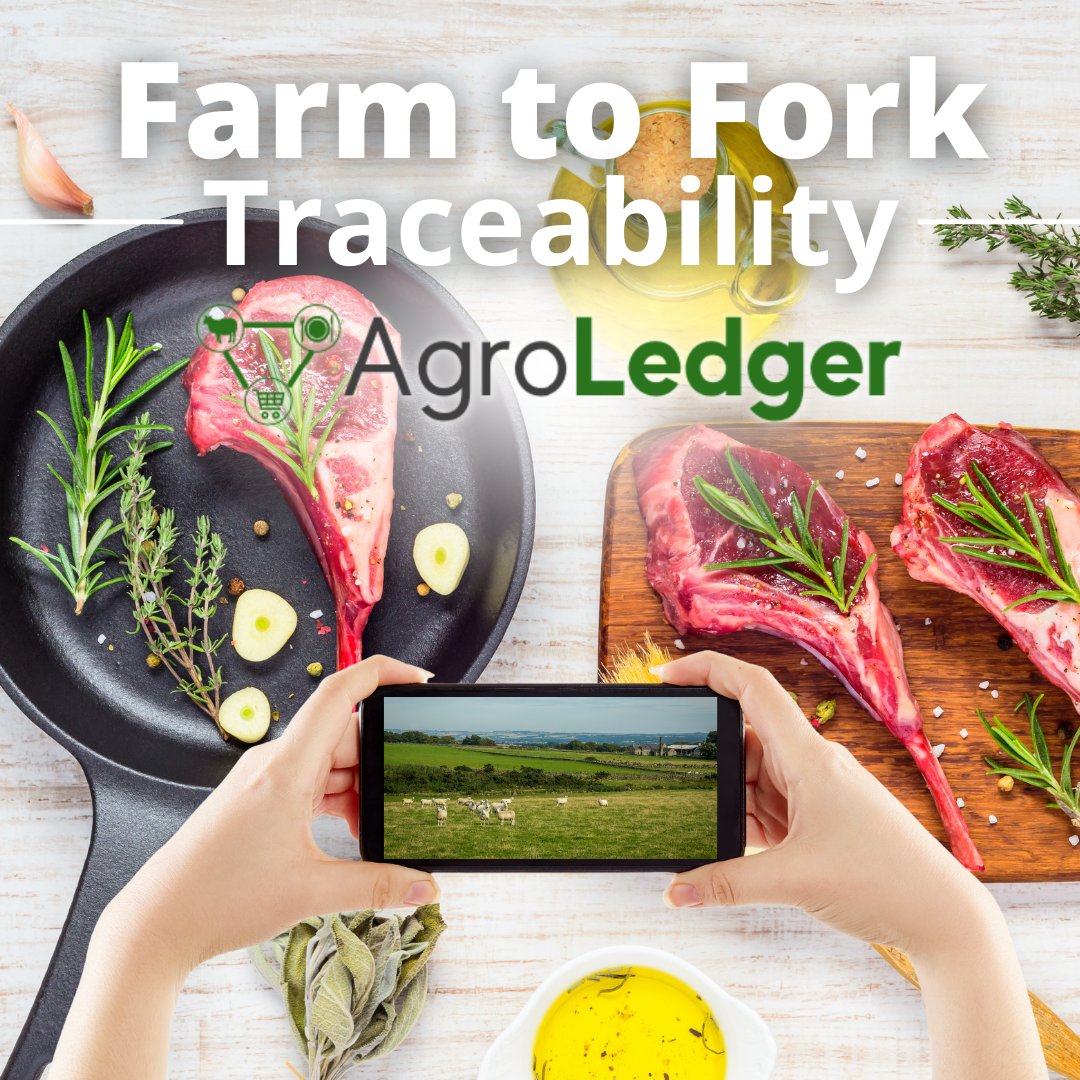 AgroLedger's tweet photo. Finally, complete #FarmtoFork #Traceability is on its way!
#AgroLedger is giving you a whole new farm to fork #experience right at your fingertips!

AgroLedger is using existing technology like #QRCodes, so consumers can view where their lamb was raised!

https://t.co/2ZlDubWfND https://t.co/uA0bGsXpqr