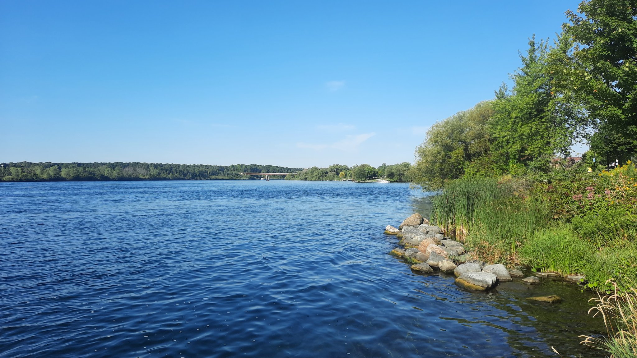 Jeffrey S Rafuse🌳 on Twitter: