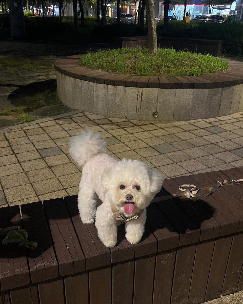 fear05052727's tweet photo. 얌얌이 세상귀엽다 ㅎㅏ... https://t.co/Dw87SvbG2g