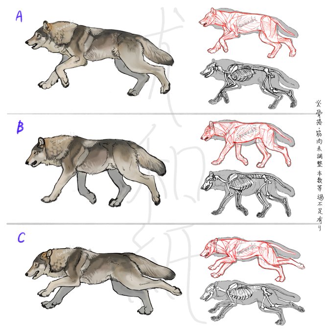 💪🐺アクキーラフ案🐺🦴
いろいろ資料集めてやらで時間がかかっています。カラーは前回と同じ灰褐色、白、黒の予定です。
リプでアンケート取るのでご協力ください✍️ 