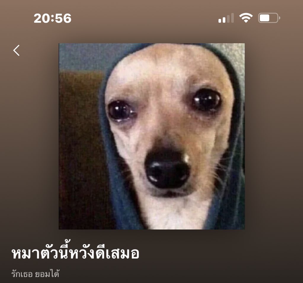 บ๊อก ๆ