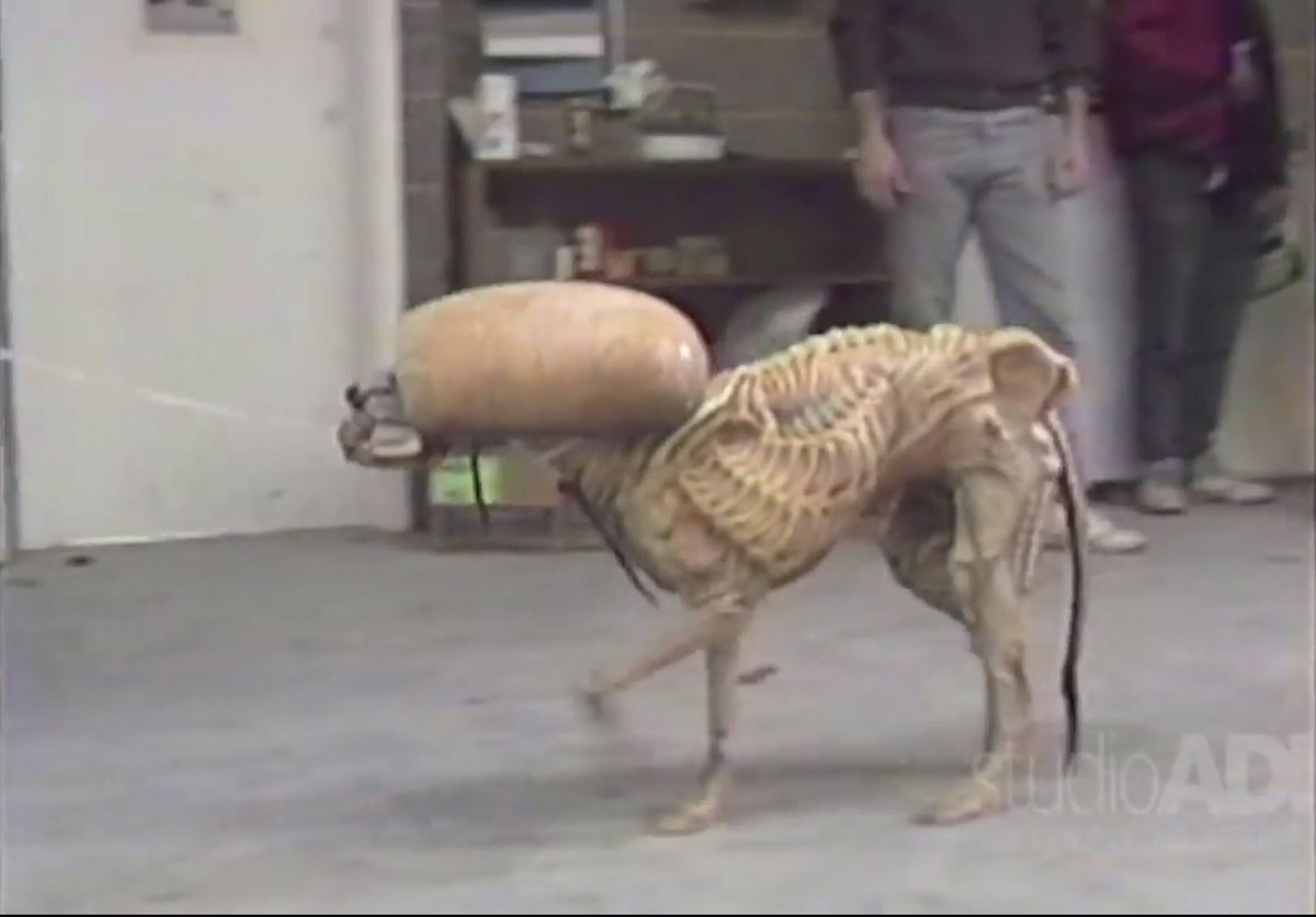 I love that ALIEN 3 feels so grim and British via the industrial ‘Oop North’ that it even features an Alien whippet.*

For overseas readers - Whippets are synonymous with Yorkshire and Northern England.