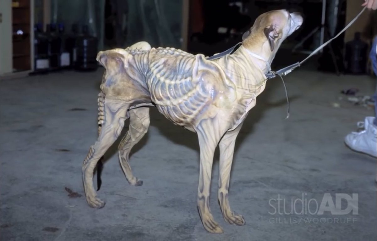 GunnWriter's tweet photo. I love that ALIEN 3 feels so grim and British via the industrial ‘Oop North’ that it even features an Alien whippet.*

For overseas readers - Whippets are synonymous with Yorkshire and Northern England. https://t.co/RDnNQ2A8lH