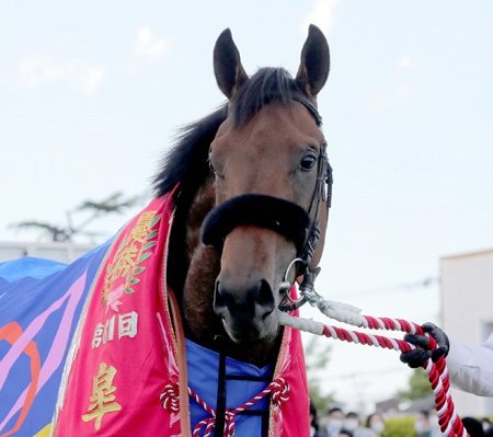 specialweeklove's tweet photo. ＃エフフォーリア
秋を楽しみにしていましたが…
怪我の事は心配ですが古馬になってからこのまま不完全燃焼で引退をするのだけは寂しい…
昨年の年度代表馬✨としてももう一度将来復帰し輝くエフフォーリア🏇を
見たい気持ちでいっぱいです🙏
まだまだに底力は持っている❗ https://t.co/Kt6yvSmR6i