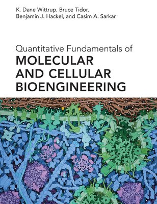[ePub] DOWNLOAD Quantitative Fundamentals of Molecular and Cellular ...